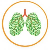 ClearPulm средство для очищения лёгких - Отзывы